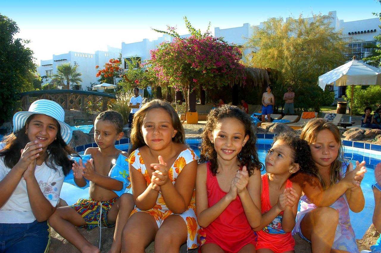 Apartment Delta Rent For Renting Units At Delta ,sharm Elsheikh ,egypt *
